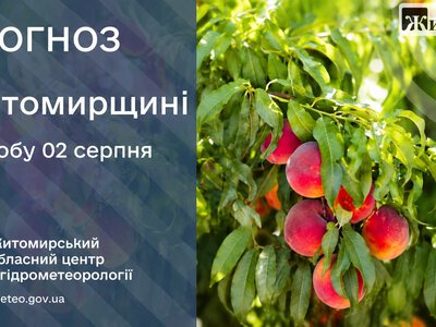 Яку погоду прогнозують на Житомирщині 2 серпня 2026