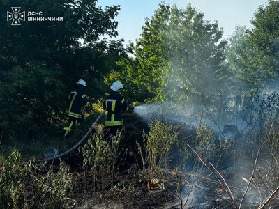 За добу на Вінниччині сталося 12 пожеж: вогонь знищив понад 12 гектарів землі