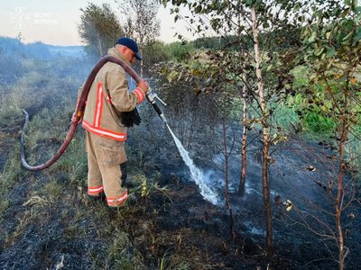 На Камінь-Каширщині майже добу гасили пожежу торфу