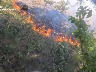 Горіли поля, торф і ліс: на Рівненщині сталися 14 пожеж за добу