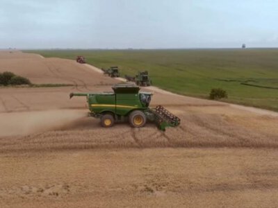 На Рівненщині вже обмолотили понад половину площ ранніх зернових