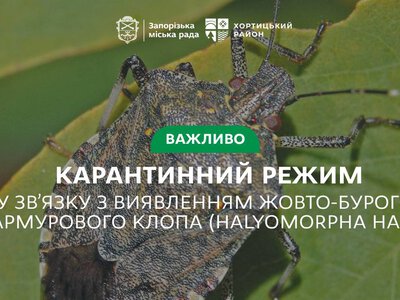 Небезпечний шкідник атакує Запоріжжя: у Хортицькому районі ввели карантин