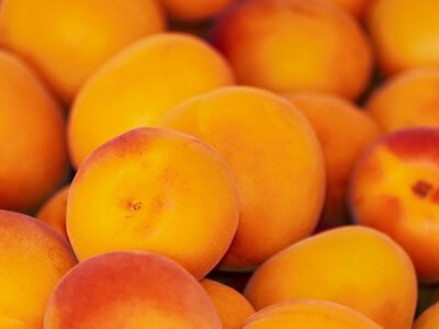 Кишківник, шкіра і зір: як абрикоси діють на організм