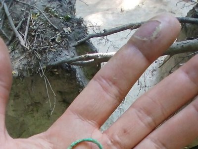 У Києві знайшли чоловіче поховання XII століття з жіночими прикрасами: деталі відкриття