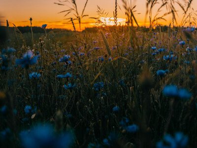 3 серпня: що треба знати про цей день 