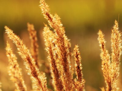 Спека до +38°C і грозові дощі: якою буде погода в понеділок 3 серпня