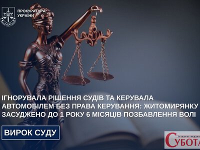 У Житомирі водійці призначили 1,5 року ув’язнення: чотири заборони суду її не зупинили