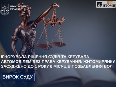 У Житомирі жінка їздила після чотирьох позбавлень прав — суд призначив ув’язнення