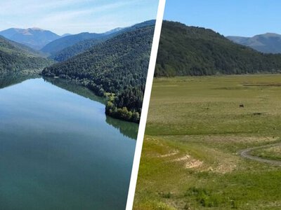  «Закарпатське море» суттєво обміліло, а по дну водосховища зараз пасуться корови 