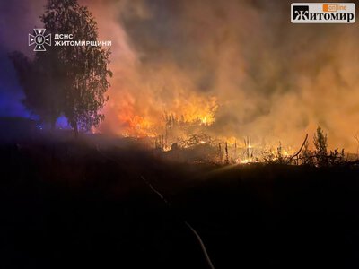 У Житомирському та Коростенському районах за добу вигоріло понад 7 га сухої трави