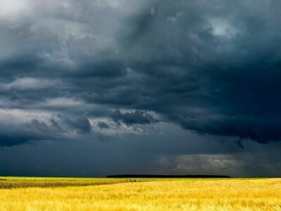 На Чернігівщині оголосили перший рівень небезпеки через шторм
