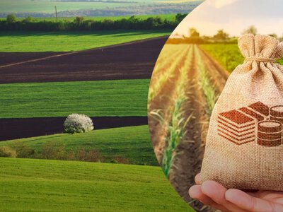 Гроші чи зерно? Аграріям пояснили, як не втратити тисячі через оренду землі