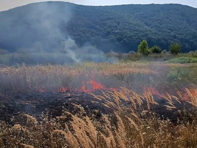 На Закарпатті за вихідні вигоріло майже вісім гектарів сухостою