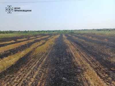 В Івано-Франківській громаді під час пожежі сухої трави загинув чоловік