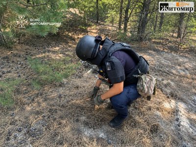 У лісі на Житомирщині грибники знайшли гранату, піротехніки знищили