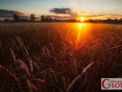 Синоптики попереджають про спеку до 38°C на Житомирщині та дощ у п’ятницю