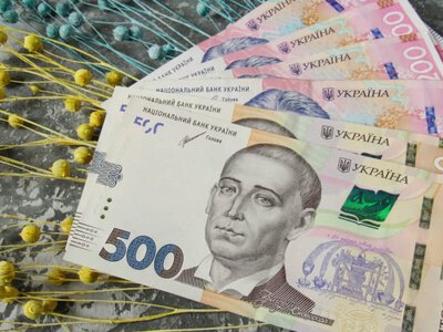 Прожитковий мінімум у тарілці: як українка вижила на 3140 гривень за місяць (фото) (Відео)