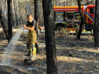 Лісові пожежі у Франції: Україна направила найбільшу міжнародну команду рятувальників