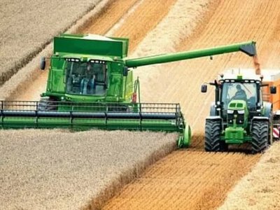 На Рівненщині аграрії обмолотили половину площ ранніх зернових