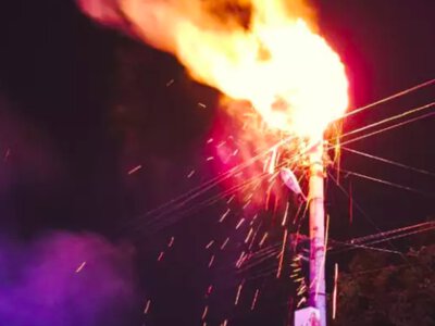 У селі Клокічка через замкнення на електроопорі згоріло гніздо лелек