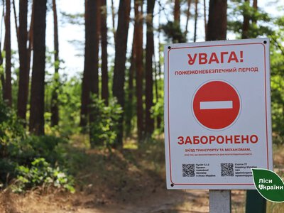 На Полтавщині заборонили відвідувати ліси через пожежну небезпеку