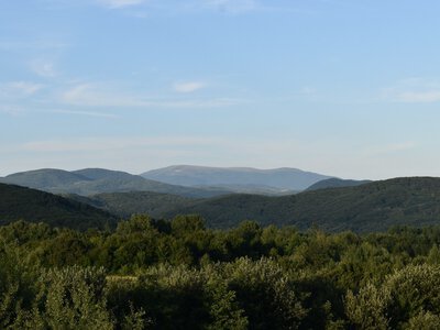 До 38° тепла та дощі з грозою прогнозують на Закарпатті