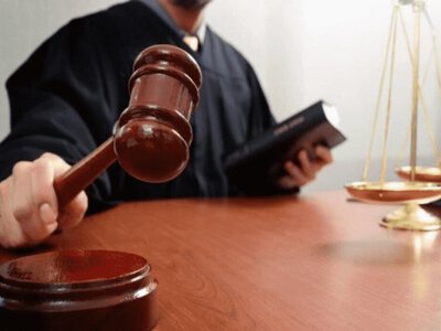 ДП «Ліси України» сплатило 1,8 млн грн за незаконну вирубку лісу на Київщині
