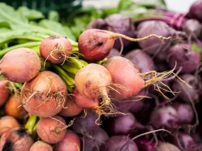 Продуктові ярмарки у Києві 4–9 серпня 2026: адреси в усіх районах столиці