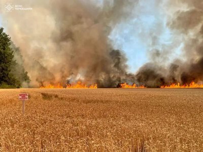 На Вінниччині в полі згоріло майже 2 гектара пшениці