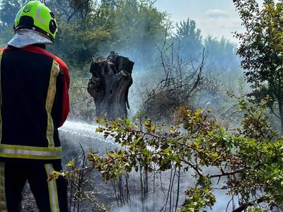 Поблизу Солотвина в Голобській громаді рятувальники ліквідували пожежу сухостою