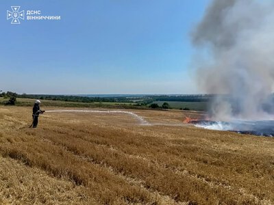 Пшеничне поле горіло на Вінниччині