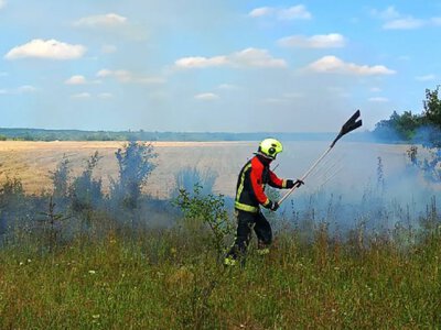 Рятувальники ліквідували пожежу стерні у Старосіллі, палія притягнули до відповідальності