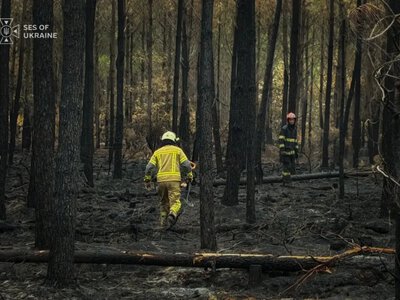 Українські рятувальники почали гасити лісові пожежі у Франції