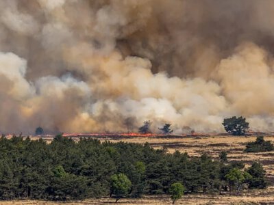 Лісова пожежа в Нідерландах охопила 100 гектарів території