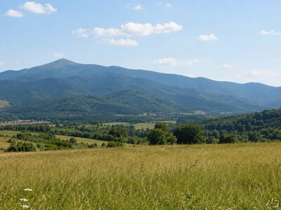 На Закарпатті через багатотисячний борг можуть забрати понад 25 гектарів землі: прокуратура звернулася до суду