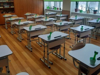 Парфенова пояснила, як зміниться реагування на булінг у школах