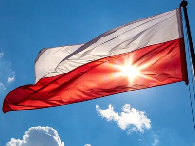 У Польщі фермер виявив на полі уламки безпілотника: триває перевірка
