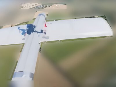 На Запорізькому напрямку вперше збили рідкісний БпЛА: що про нього відомо