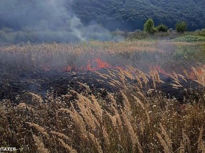 Понад 10 гектарів згарищ: на Закарпатті не вщухають пожежі сухостою (ФОТО)