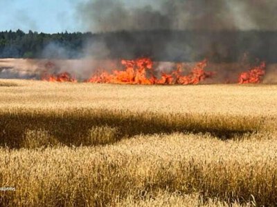 На Новгород-Сіверщині падіння ворожого БпЛА спричинило пожежу на пшеничному полі