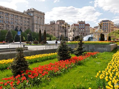 Київзеленбуду 70 років: 10 фактів про людей, які створюють зелену столицю