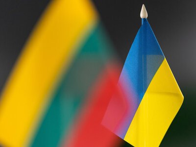 Литва планує виділити понад 12 млн євро на допомогу українським біженцям