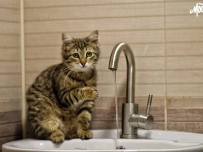 У Херсоні може здорожчати вода - Херсон Daily