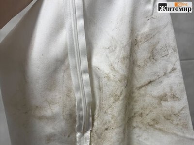 У Бердичеві показали білі шорти після прання водою з крана