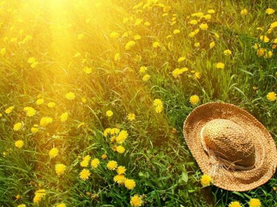 Погода у Києві 6 серпня: спека до +37°C і без опадів