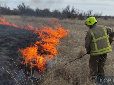 У Кременчуцькому районі горів сухостій