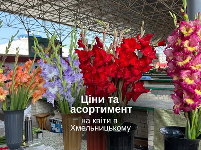 Гладіолуси, соняшники та сухоцвіти: скільки коштують квіти на центральному ринку Хмельницького (ВІДЕО)