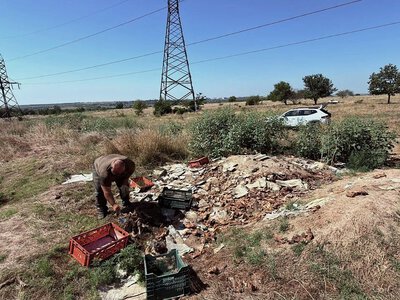 На Миколаївщині виявили несанкціоноване звалище відходів тваринного походження – що далі (ФОТО, ВІДЕО)