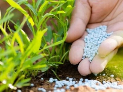 Світові ціни на азотні добрива впали вдвічі