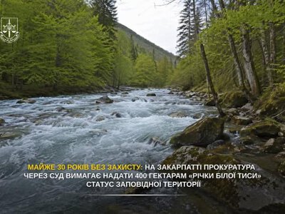 Прокуратура через суд вимагає надати річці Біла Тиса на Рахівщині статус заповідного фонду